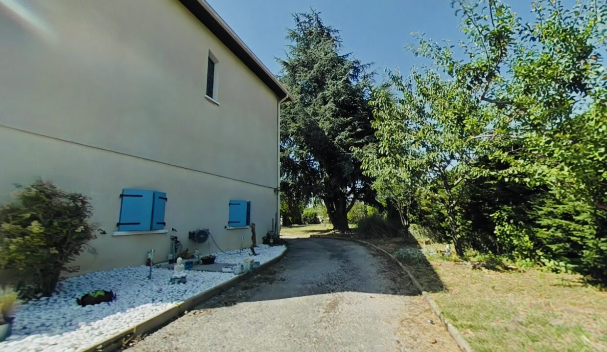 jardin 8