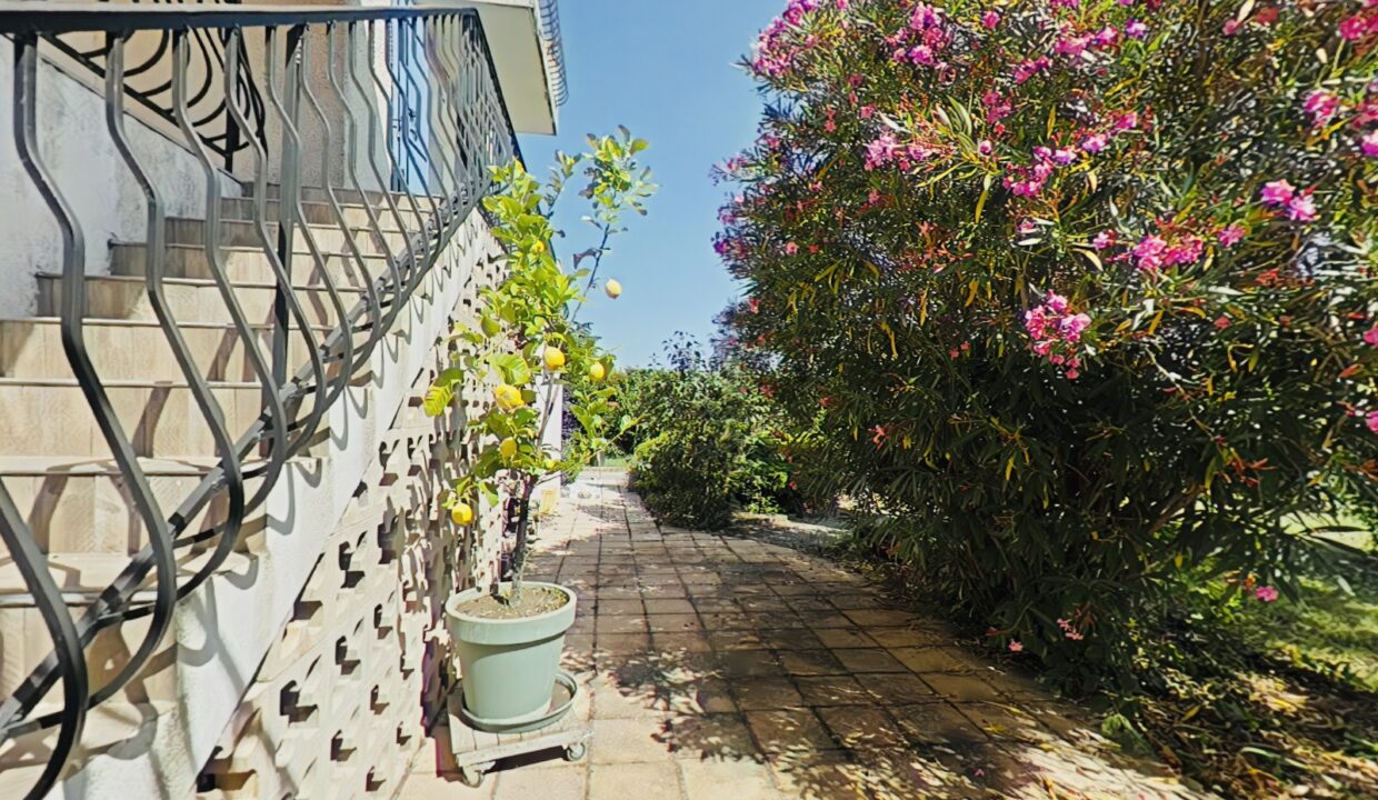 jardin-8 2