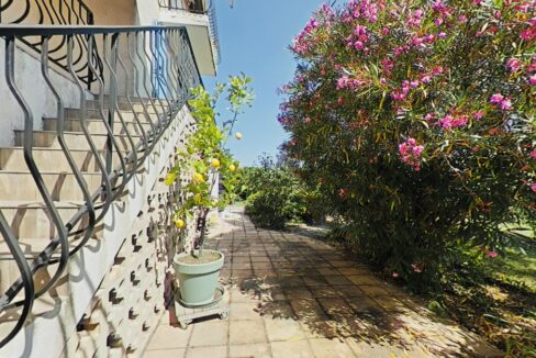 jardin-8 2