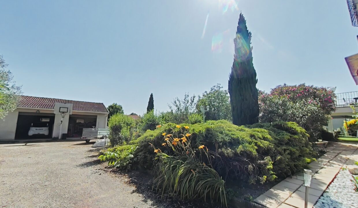 jardin 9