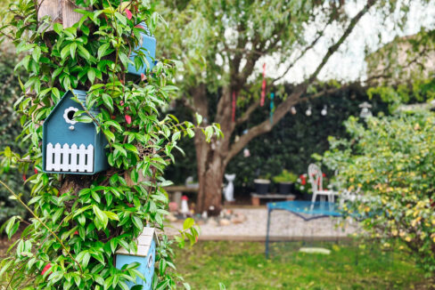 6 jardin