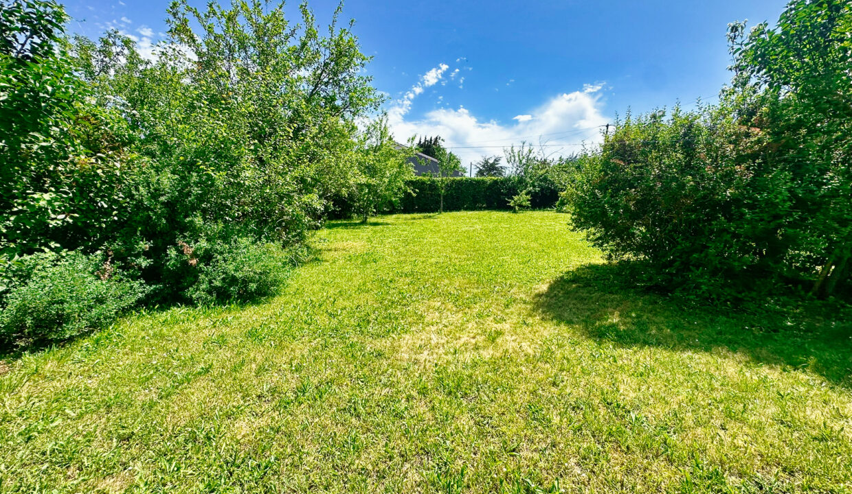 DDEED066-4CB5-4484-84B2-C46882585CC0_1_102_o