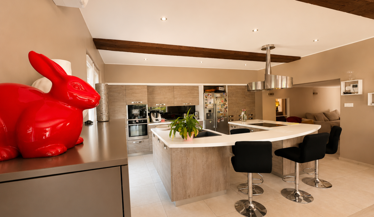GARRIGUES-MAS IMMOBILIER 345000€ CASTRESà 15_43_52